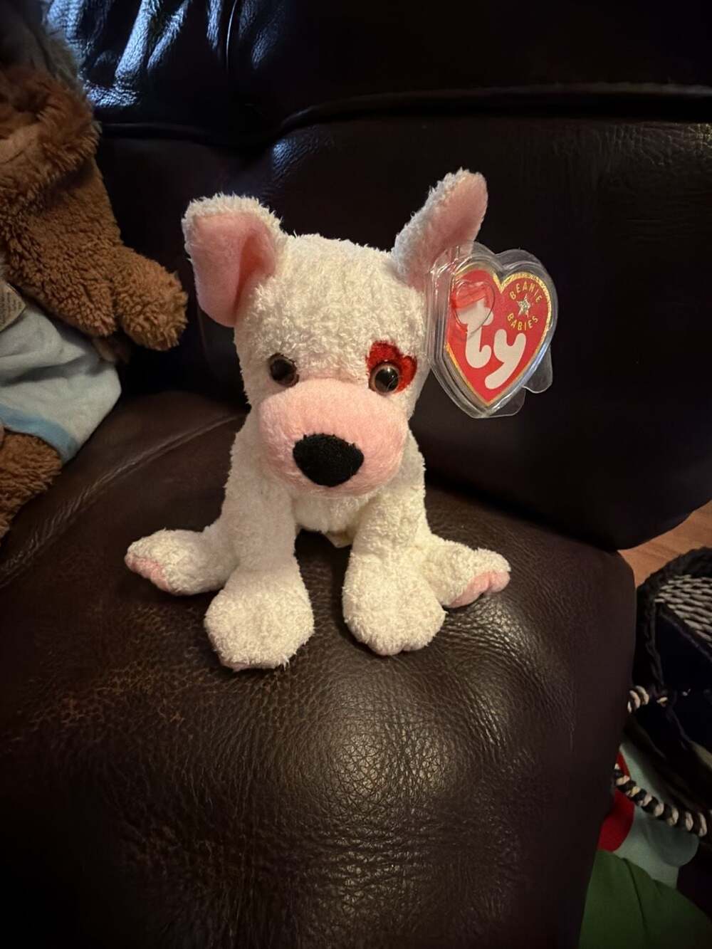TY Beanie Baby "cupid" the Dog. New, Never Played With. Stored in a Smoke Free H